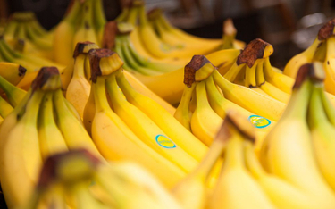 Kultura rozsławiła banany. Polacy kupują je na potęgę