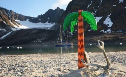 Tęsknimy już za zielenią. Na plaży wyhodowaliśmy sobie palmę.