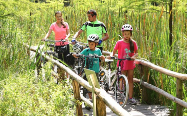 Z Green Velo do września 2017 skorzystało ponad milion rowerzystów