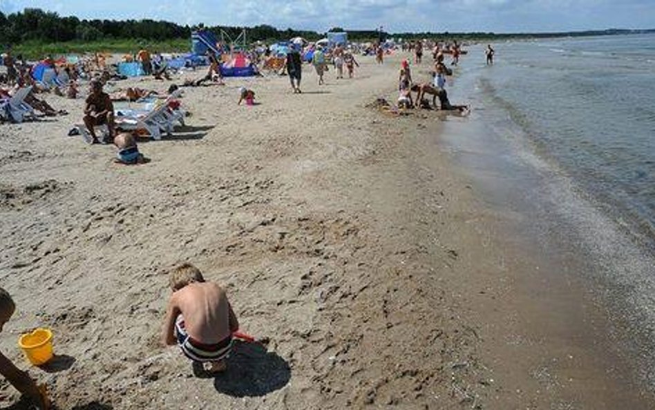 Wypoczynek na świnoujskiej plaży zakłócają czasem truchtające po wydmach dziki