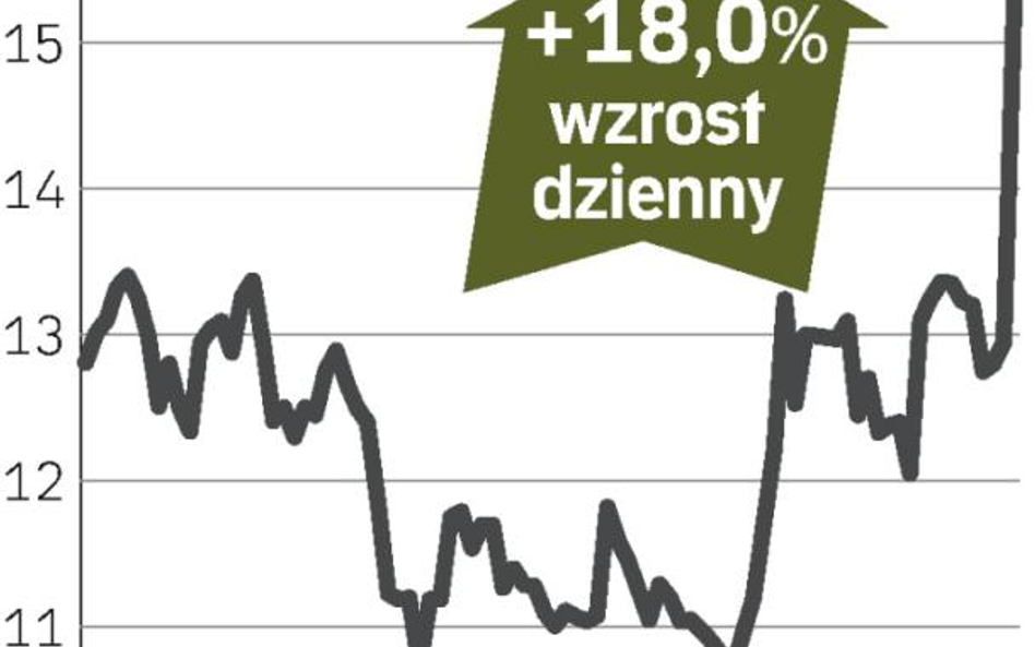 Piątkowy lider wzrostów