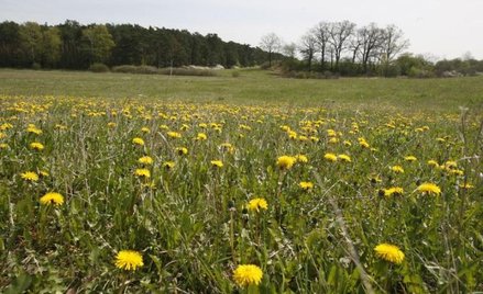 Gmina musi wyrównać spadek wartości działki
