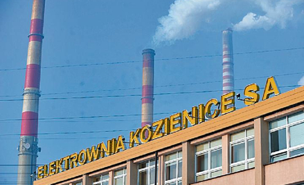 Elektrownia Kozienice należąca do poznańskiej Enei jest największą elektrownią na węgiel kamienny w 