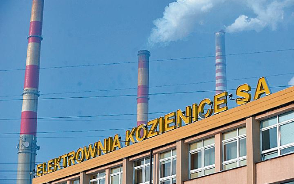 Elektrownia Kozienice należąca do poznańskiej Enei jest największą elektrownią na węgiel kamienny w 