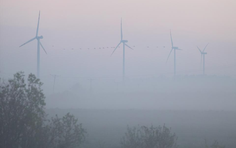 Największa farma wiatrowa na świecie