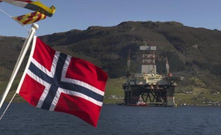 Norweski fundusz nie lubi oleju palmowego