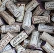 6 nowych szczepów w winach z Bordeaux. Powód? Zmiany klimatu
