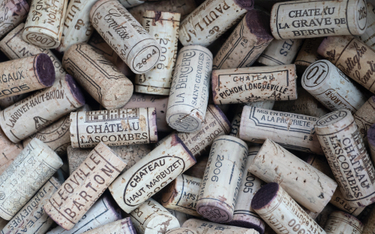 6 nowych szczepów w winach z Bordeaux. Powód? Zmiany klimatu