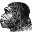 Pierwsza rekonstrukcja wyglądu neandertalczyka. Fot. Hermann Schaaffhausen