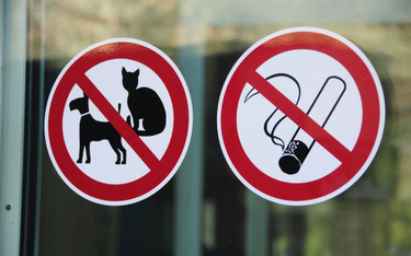 Nie można zabronić wchodzenia do urzędów z psem - wyrok WSA