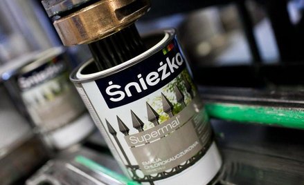 Zyski Śnieżki mocno w dół