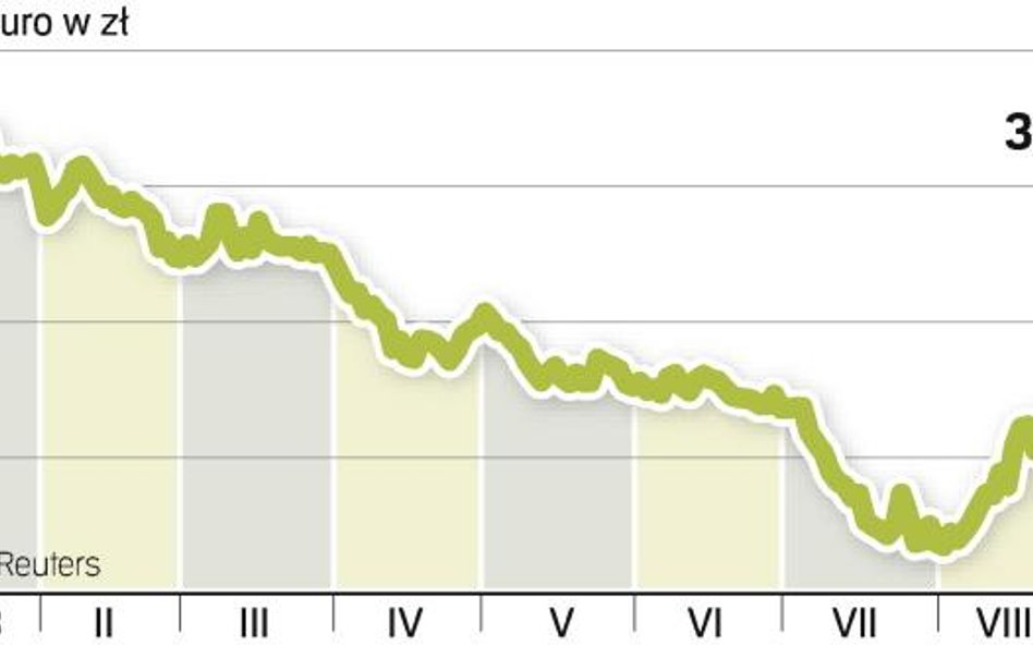 Na początku roku euro było droższe o 20 gr