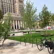Warszawa zyskała nowy zielony skwer w samym centrum - Plac Centralny