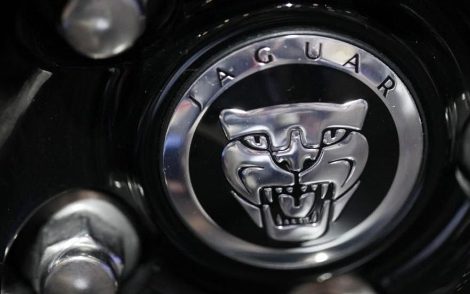 Jaguar