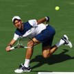 Nieudany powrót Djokovicia na kort