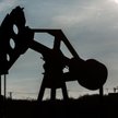 OPEC: równowaga  na rynku w 2016 r.
