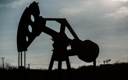 OPEC: równowaga  na rynku w 2016 r.