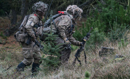 Ambasador USA: Dania wydaje zbyt mało na armię