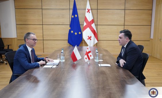 Mariusz Pietrzak na spotkaniu z szefem MSZ Gruzji Ilią Darcziaszwilim