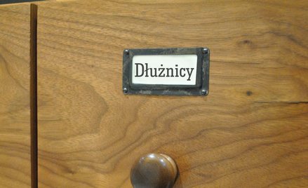 Skarga nadzwyczajna Rzecznika Finansowego ws. nieuzasadnionego wpisu do rejestru dłużników