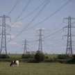 PGE: PPEJ dopiero po Nowym Roku