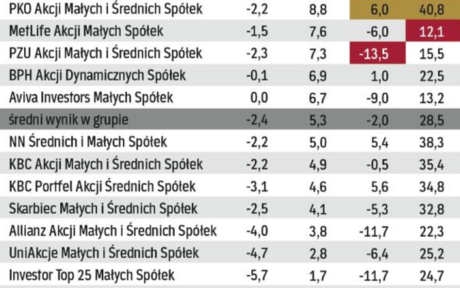 Fundusze akcji małych i średnich spółek