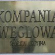 Eksperci różnią się w ocenach szans na przetrwanie Nowej Kompanii Węglowej. W jednym są jednak zgodn