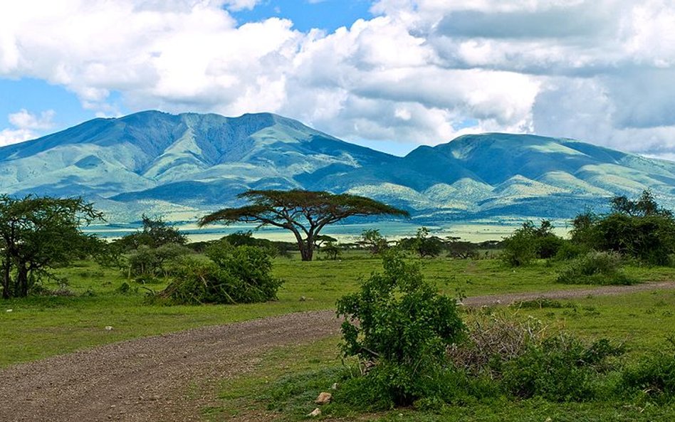 Tanzania: Obława na znachorów, w związku z rytualnymi mordami dzieci
