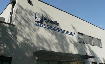 Efektowna poprawa wyników Synektika