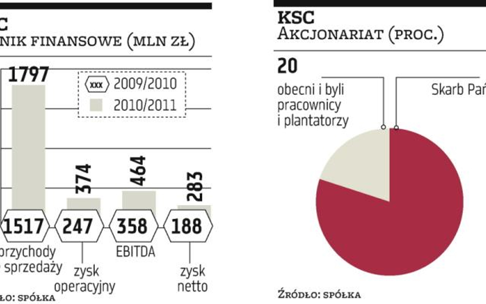 Polski Cukier bliżej giełdy