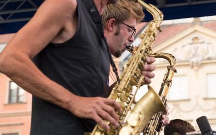 Dickbauer Collective