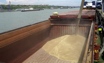 Nawet 50 mln ton zboża z Ukrainy i Rosji trafi na rynki