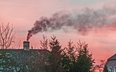 Po wznowieniu programu Czyste Powietrze liczba wniosków rośnie