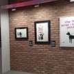 Banksy dłużej w Warszawie