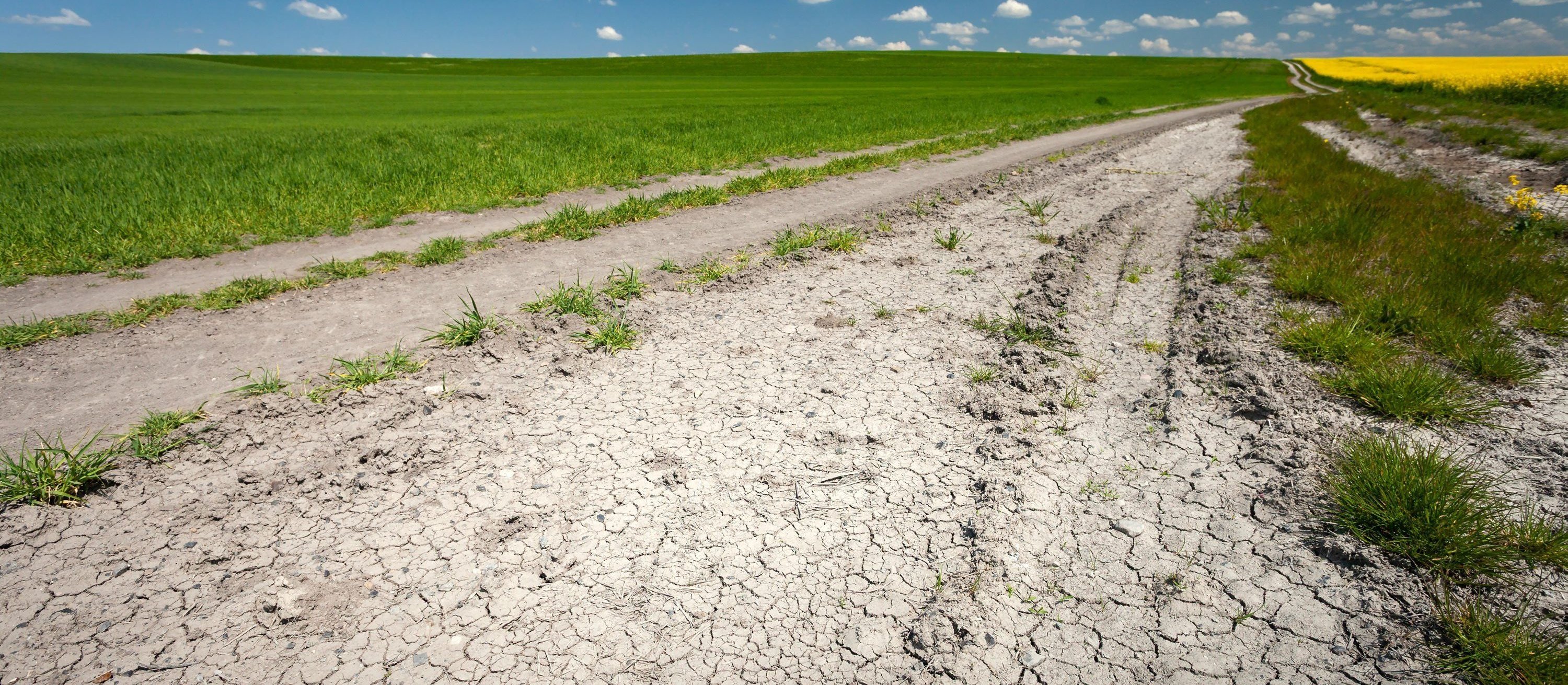 Susza hydrologiczna coraz groźniejsza. Spółki patrzą na rzeki