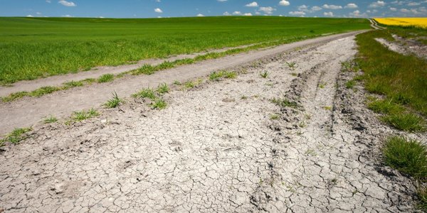 Susza hydrologiczna coraz groźniejsza. Spółki patrzą na rzeki