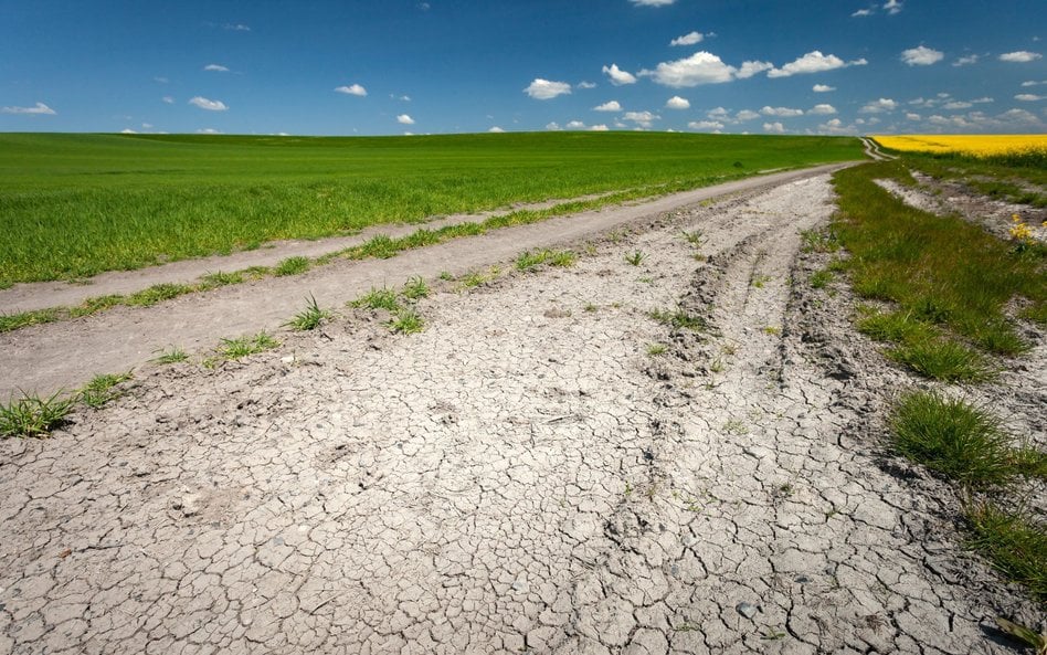 Susza hydrologiczna coraz groźniejsza. Spółki patrzą na rzeki
