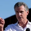 Gavin Newsom
