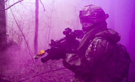 Sondaż: Polacy chcą rozszerzenia NATO