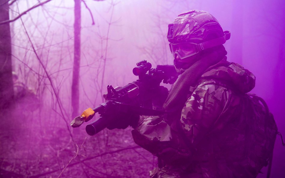 Sondaż: Polacy chcą rozszerzenia NATO
