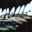 Rosną szanse na nagrody dla Polaków w Cannes