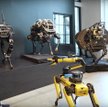 Firma Boston Dynamics stworzyła już liczne czworonożne roboty, ale dopiero Spot zaczął mówić. Ma lek