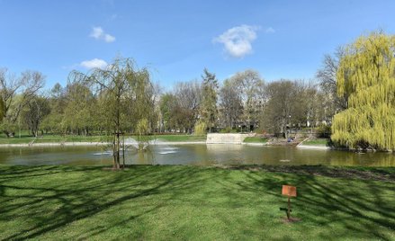 Robert Mazurek: Asfaltowe łby