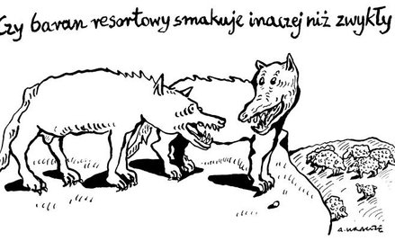 Komentarz rysunkowy. Baran resortowy