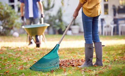 Czy można palić liście na własnej działce? Przepisy są jasne