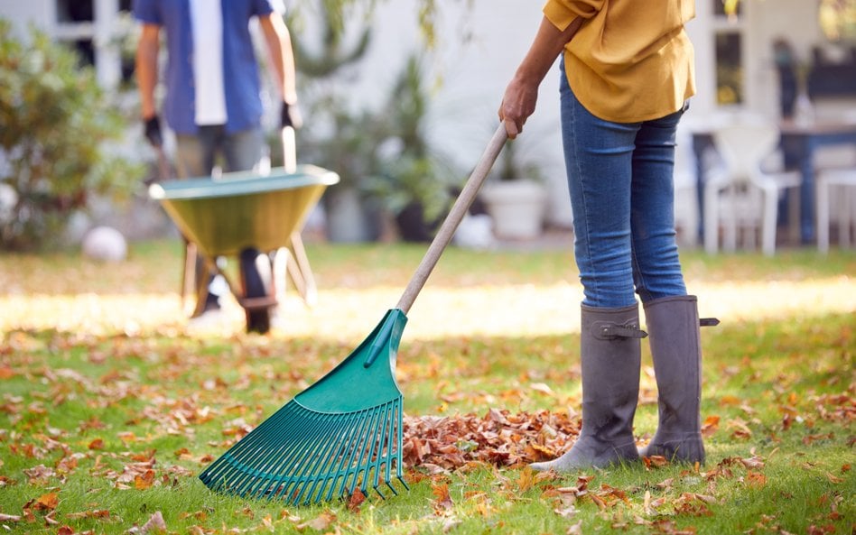 Czy można palić liście na własnej działce? Przepisy są jasne
