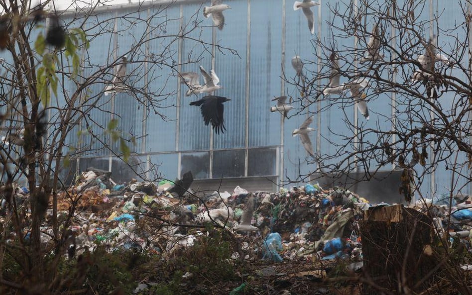 Pięć sektorów walki o śmieci