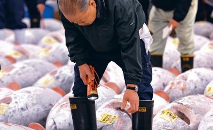 Targ Tsukiji. Ocena: produkt klasy kawai