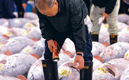 Targ Tsukiji. Ocena: produkt klasy kawai