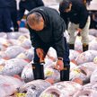 Targ Tsukiji. Ocena: produkt klasy kawai
